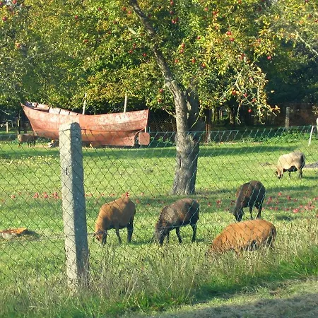 Lindenhof Liepgarten - & Gaststaette Ueckermunde