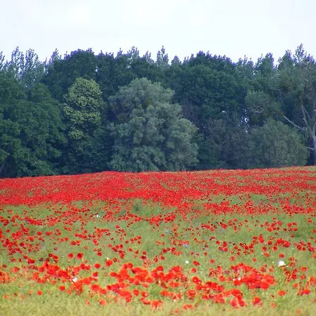 Gasthuis Lindenhof Liepgarten - & Gaststaette Ueckermünde