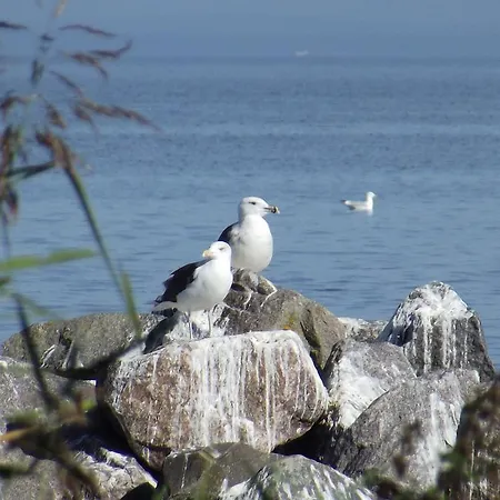 Lindenhof Liepgarten - & Gaststaette 4*