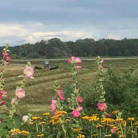 Lindenhof Liepgarten - & Gaststaette 4* Ueckermünde